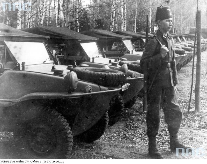 ss-man-ur-13-waffen-gebirgs-division-der-ss-handscha_imagesia-com_84j8.jpg