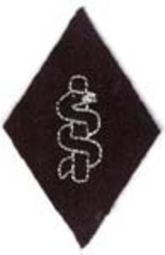 SS ORs medic badge.jpg