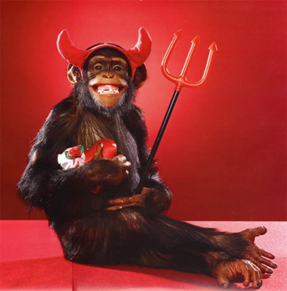 valentine-monkey.jpg