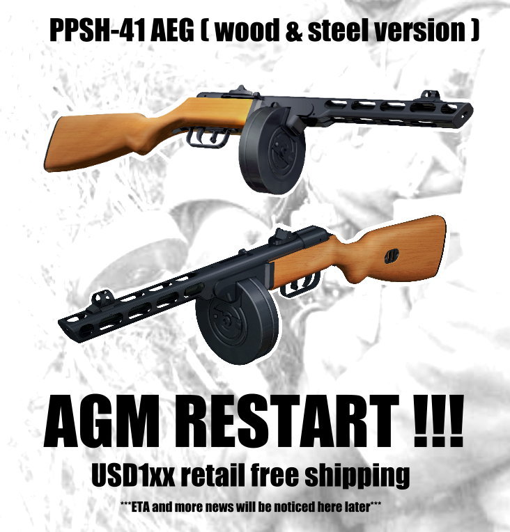 ppsh.jpg